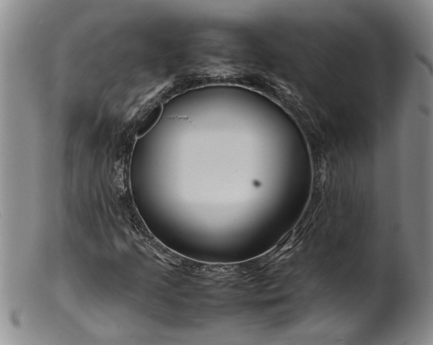 X0000099461205200805231758