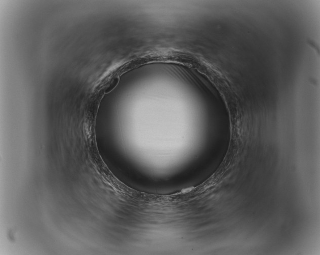 X0000099461206200805231758