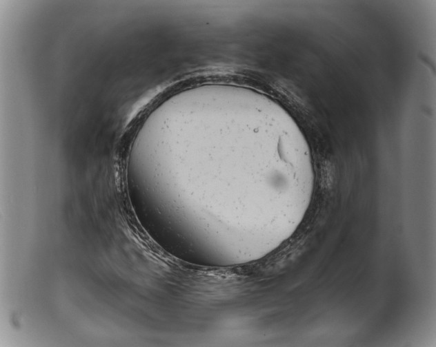 X0000099461208200805231758