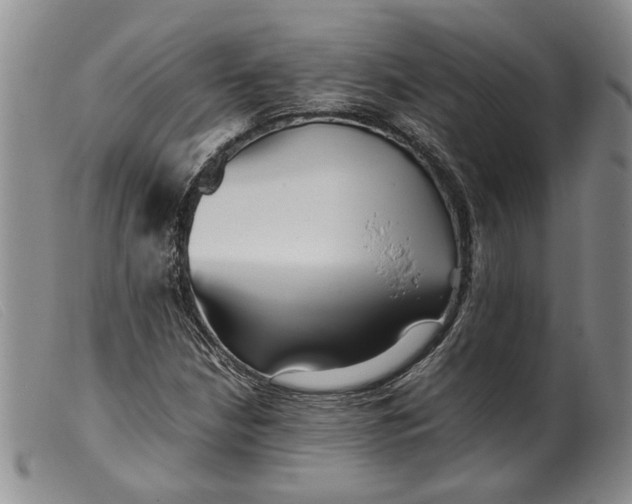 X0000099461210200805231758