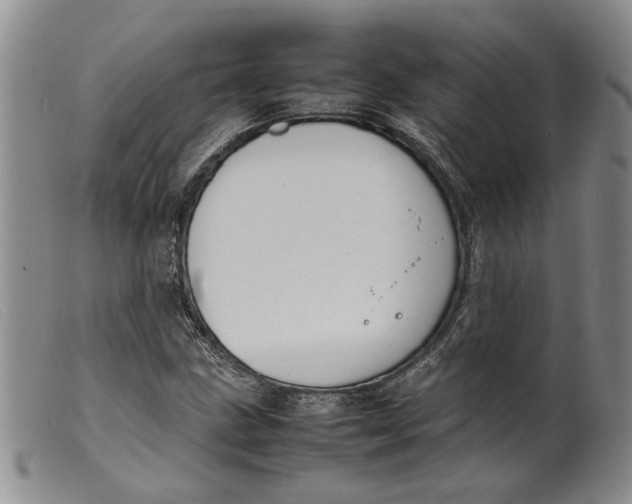 X0000099461211200805231758