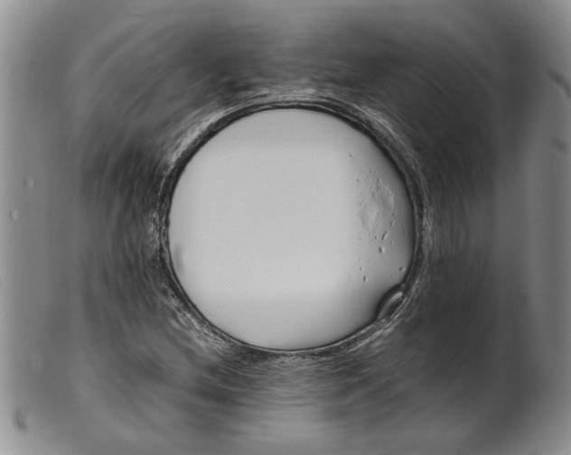 X0000099461212200805231758