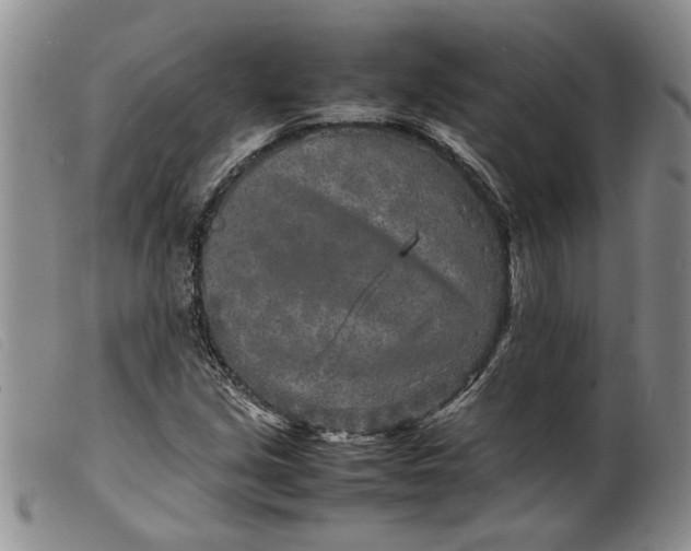 X0000099461213200805231758