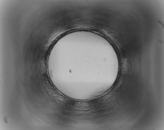 X0000099461215200805231758