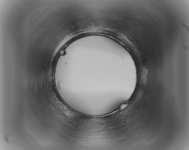 X0000099461216200805231758