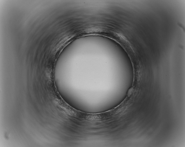 X0000099461217200805231758