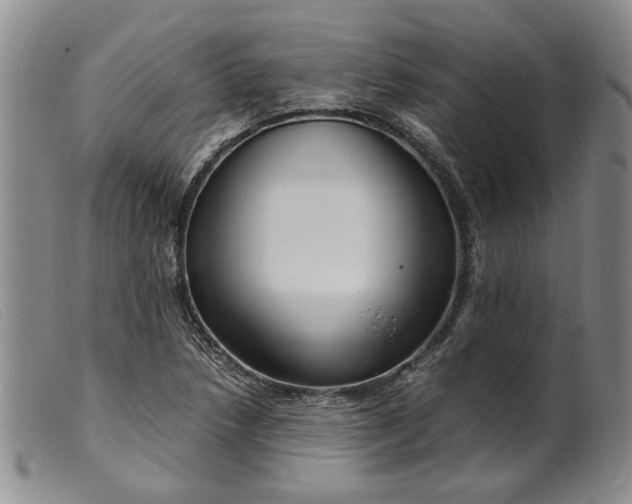 X0000099461218200805231758