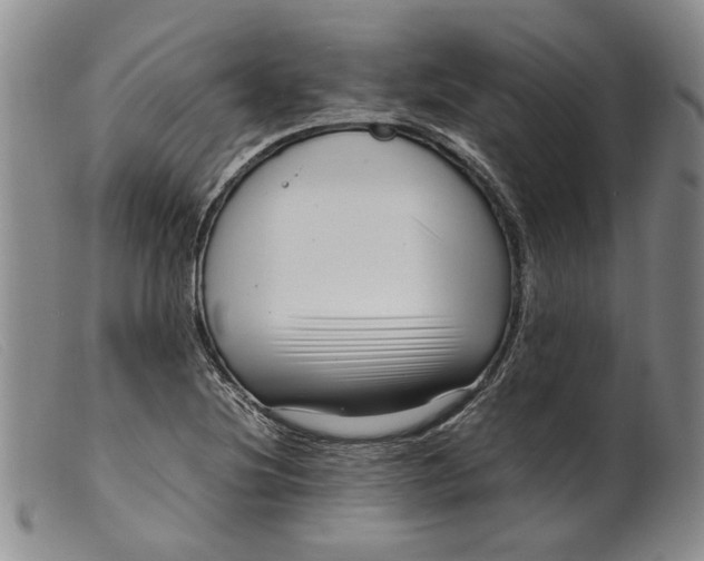 X0000099461220200805231758