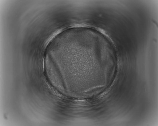 X0000099461221200805231758