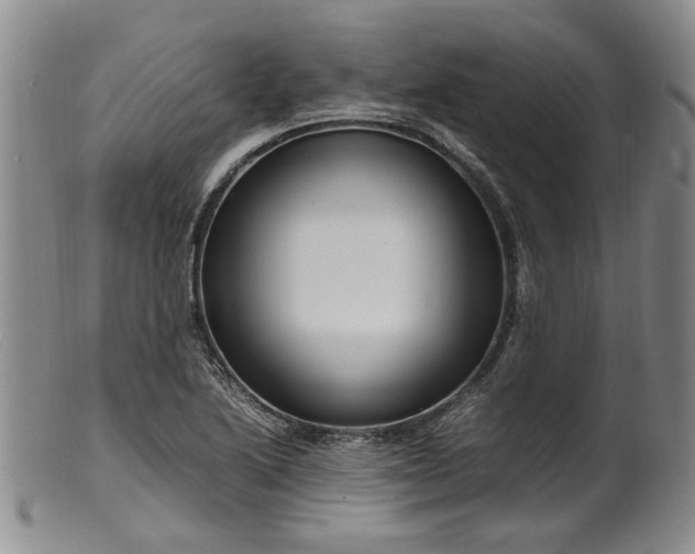 X0000099461222200805231758