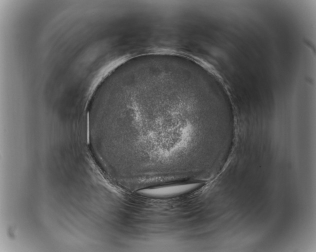 X0000099461223200805231758