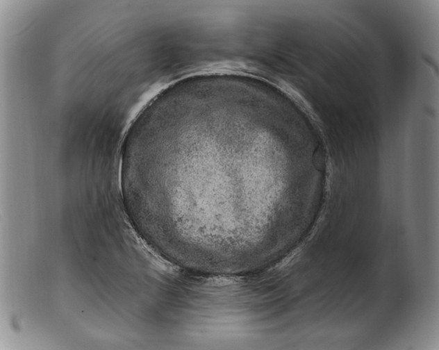 X0000099461224200805231758