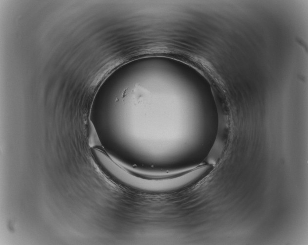 X0000099461225200805231758