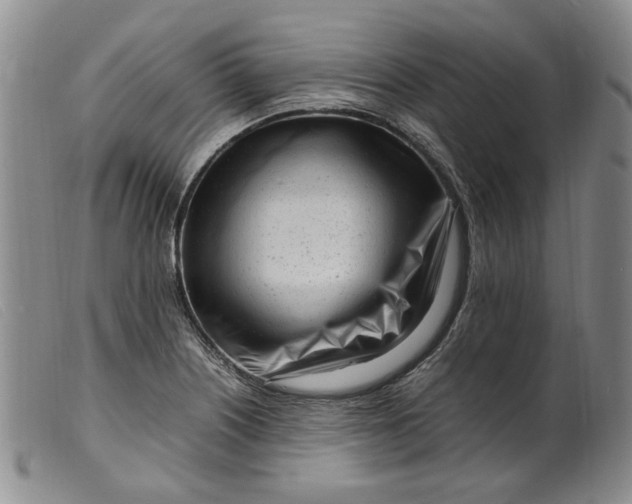 X0000099461226200805231758