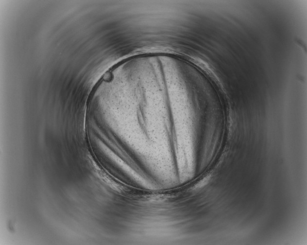 X0000099461228200805231758