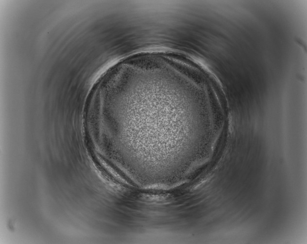 X0000099461229200805231758