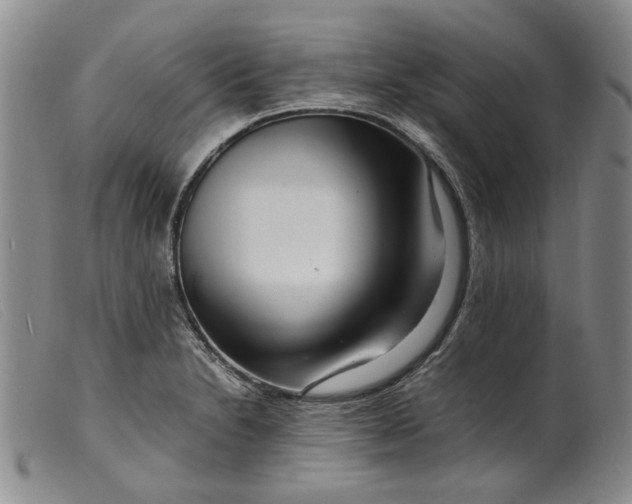 X0000099461230200805231758