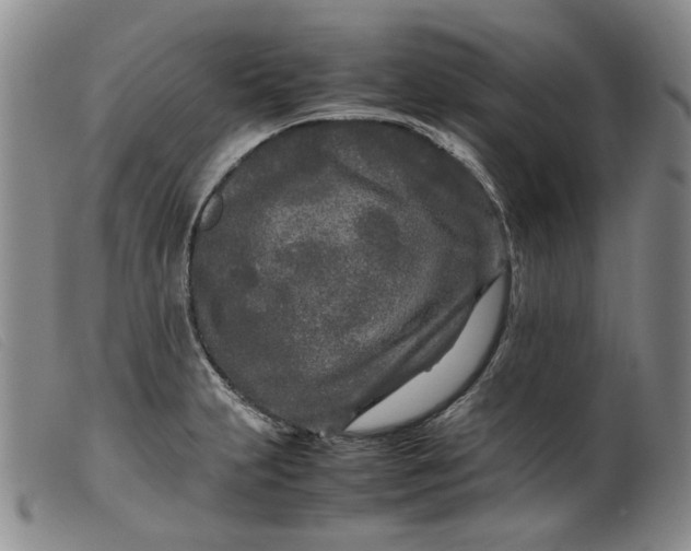 X0000099461231200805231758