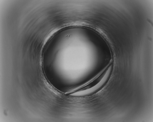 X0000099461232200805231758