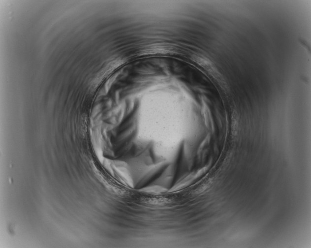 X0000099461233200805231758