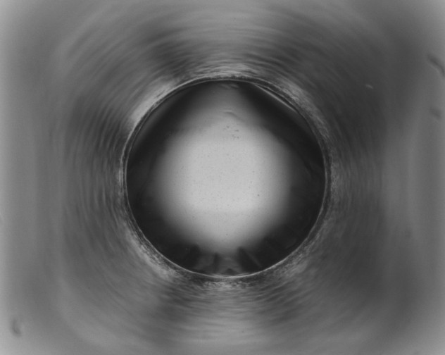 X0000099461234200805231758