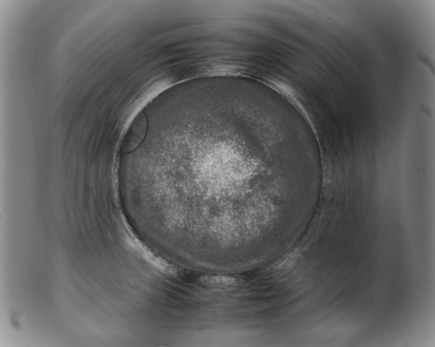 X0000099461235200805231759