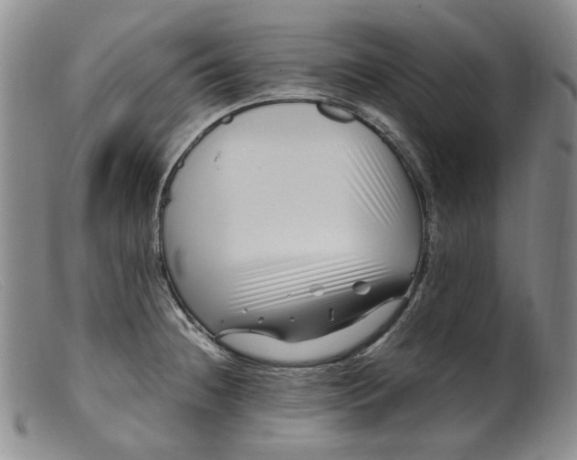 X0000099461236200805231759