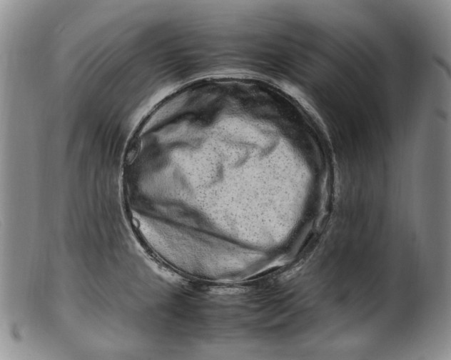 X0000099461237200805231759