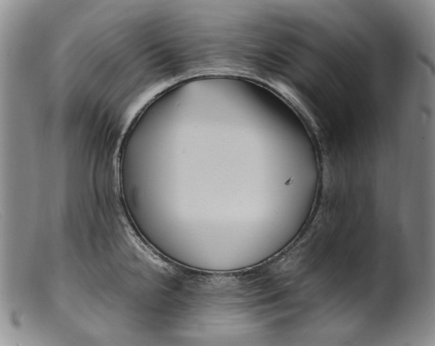 X0000099461238200805231759