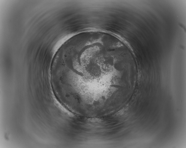 X0000099461239200805231759