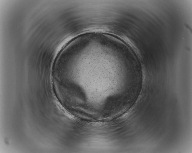 X0000099461240200805231759