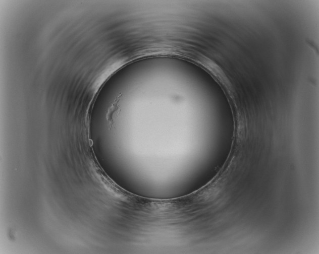 X0000099461242200805231759