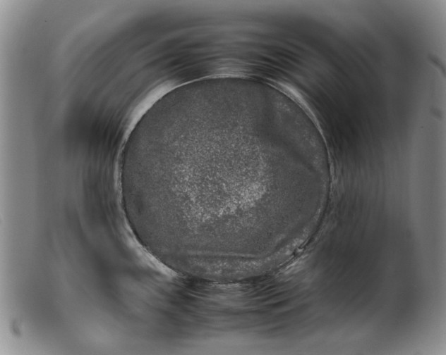 X0000099461243200805231759