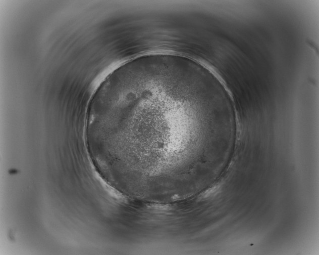 X0000099461245200805231759