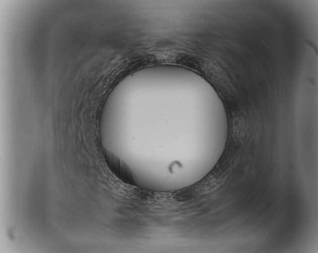 X0000099461249200805231758