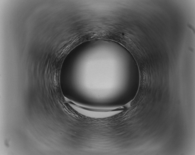 X0000099461250200805231758