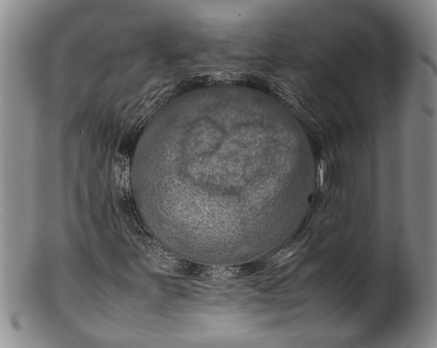 X0000099461251200805231758