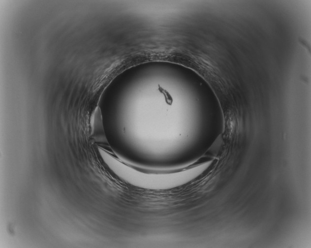 X0000099461252200805231758