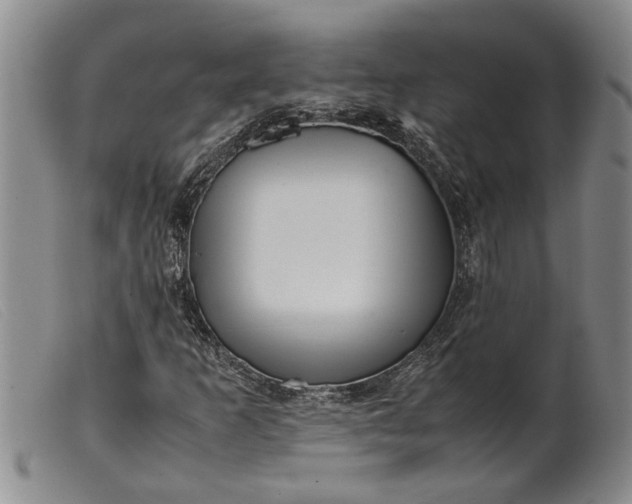 X0000099461253200805231758