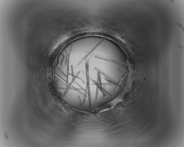 X0000099461255200805231758