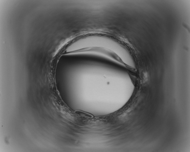 X0000099461256200805231758