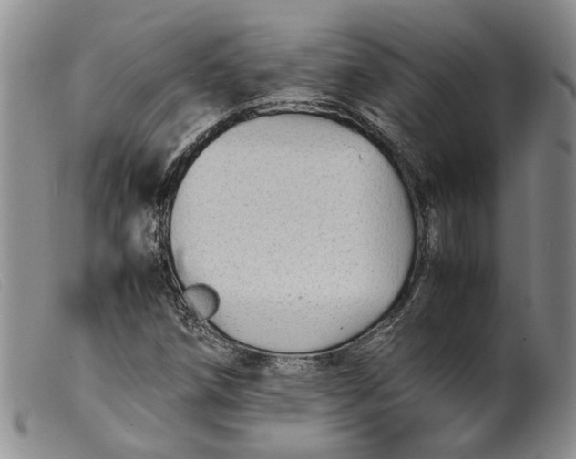 X0000099461258200805231758