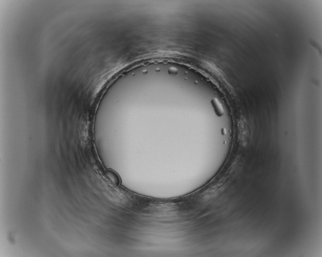 X0000099461260200805231758