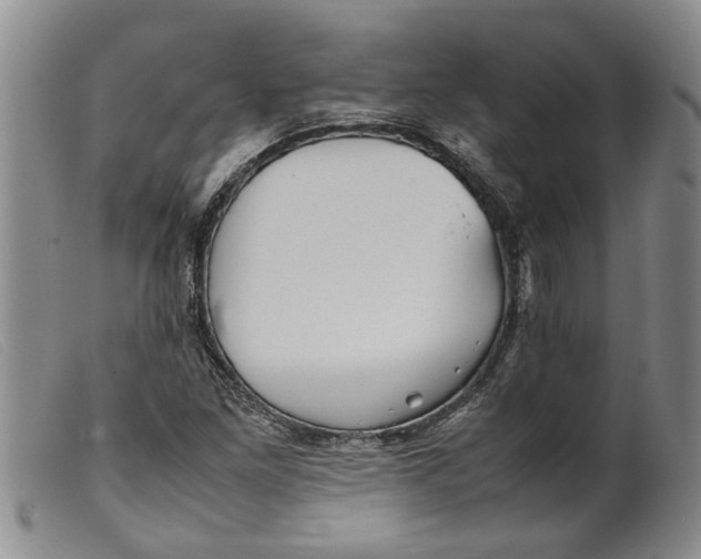 X0000099461261200805231758