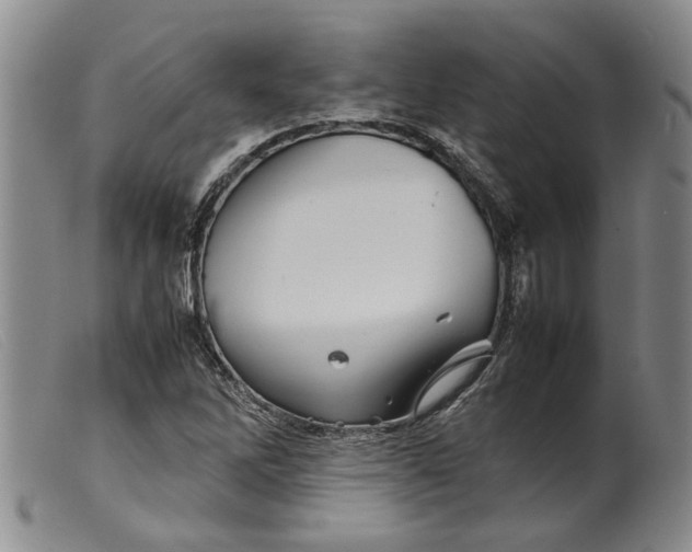 X0000099461262200805231758