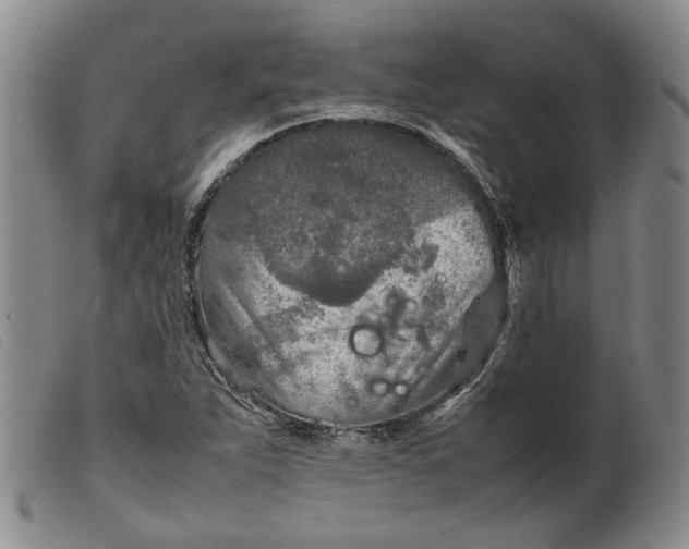 X0000099461263200805231758