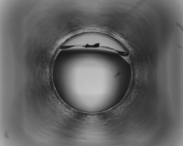 X0000099461264200805231758