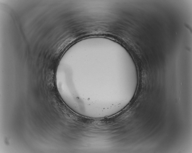 X0000099461265200805231758