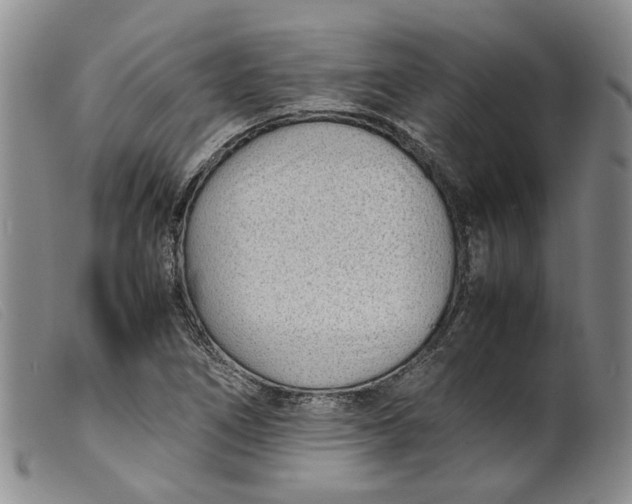 X0000099461266200805231758