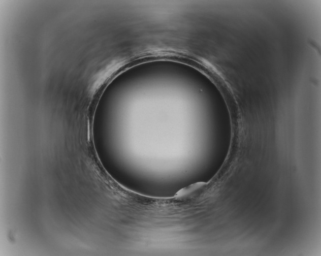 X0000099461269200805231757